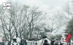 2011�N8��27��(�y)�E28��(��)