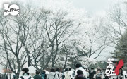 ARABAKI ROCK FEST.11. 2011年8月27日(土)・28日(日)